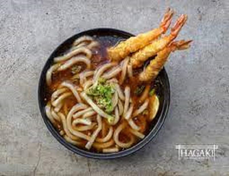 SOPA UDON