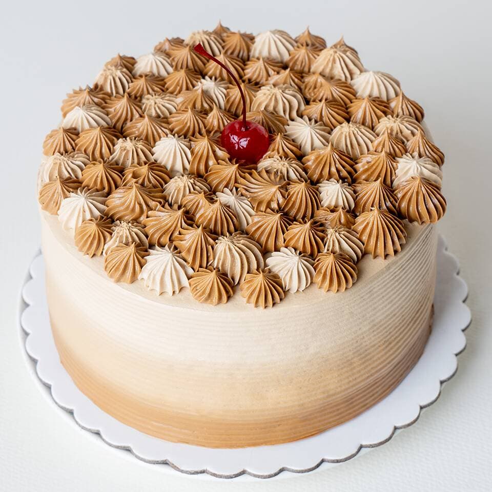 Torta Capuchino Mediana