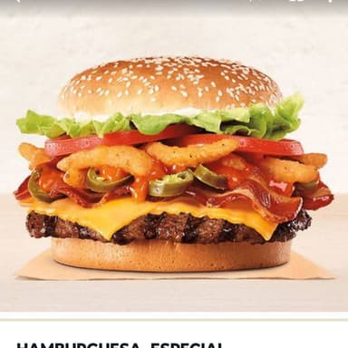 Hamburguesa Especial