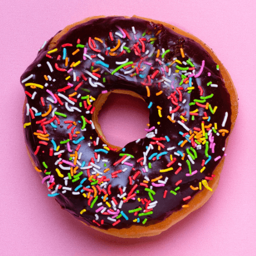 Chocolate Sprinkle Donut