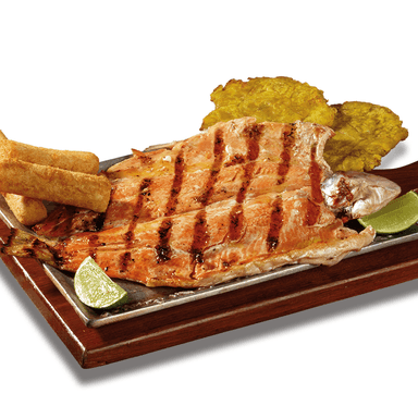 Trucha Tia Marucha