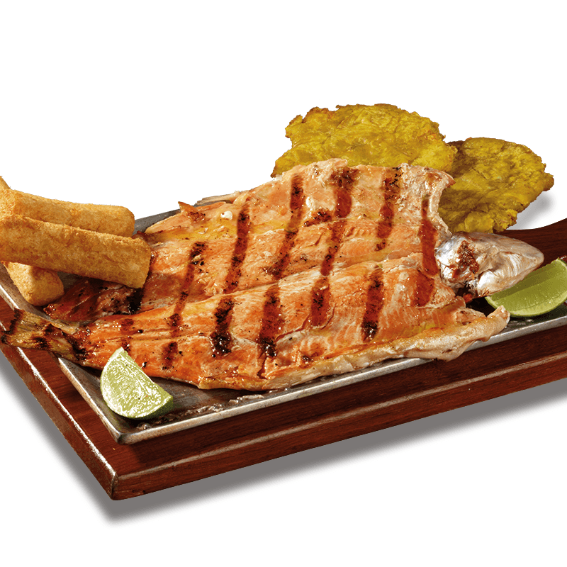 Trucha Tia Marucha