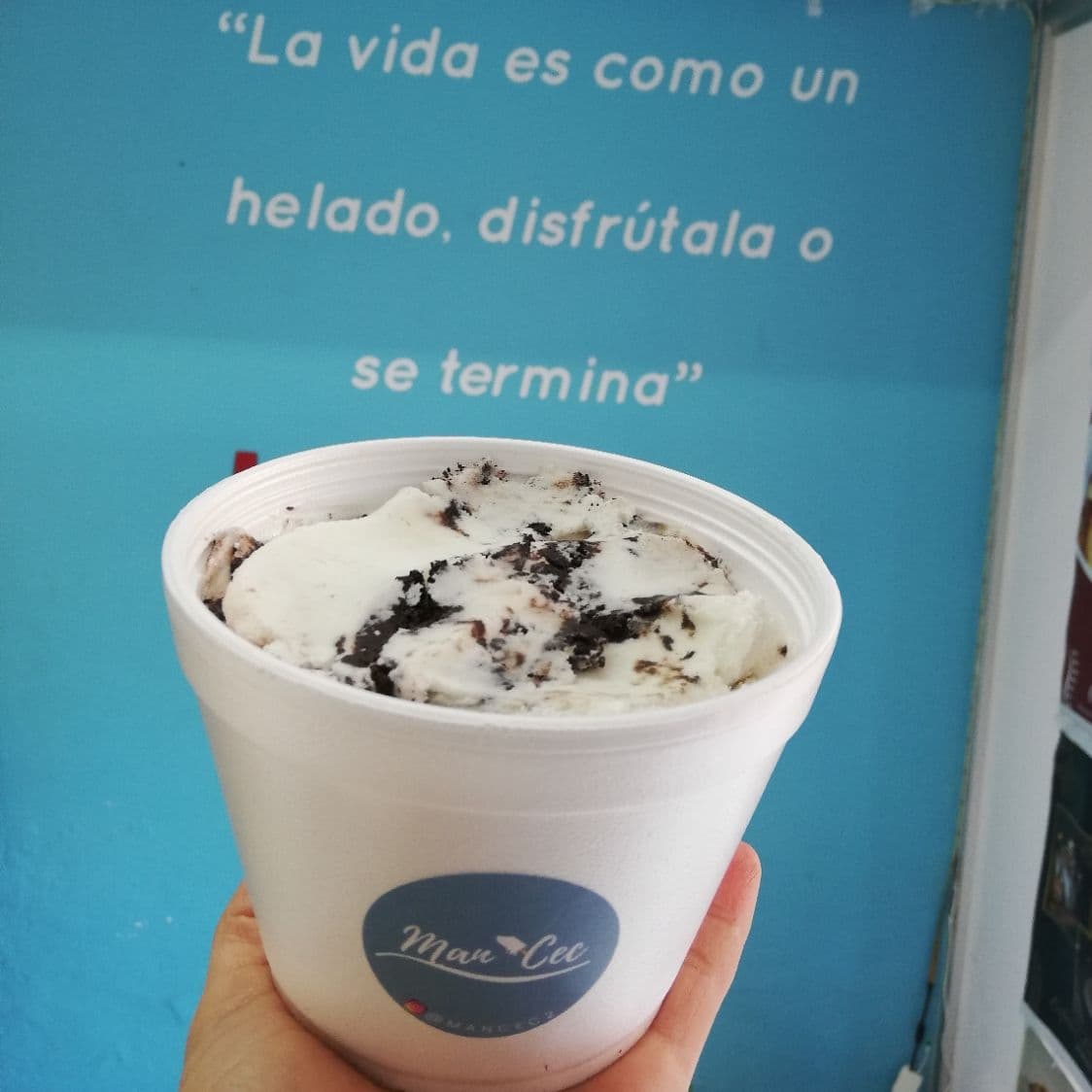 1/2 Litro de Helado