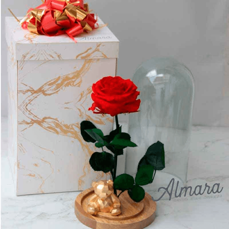 Rosa Preservada Deluxe Roja