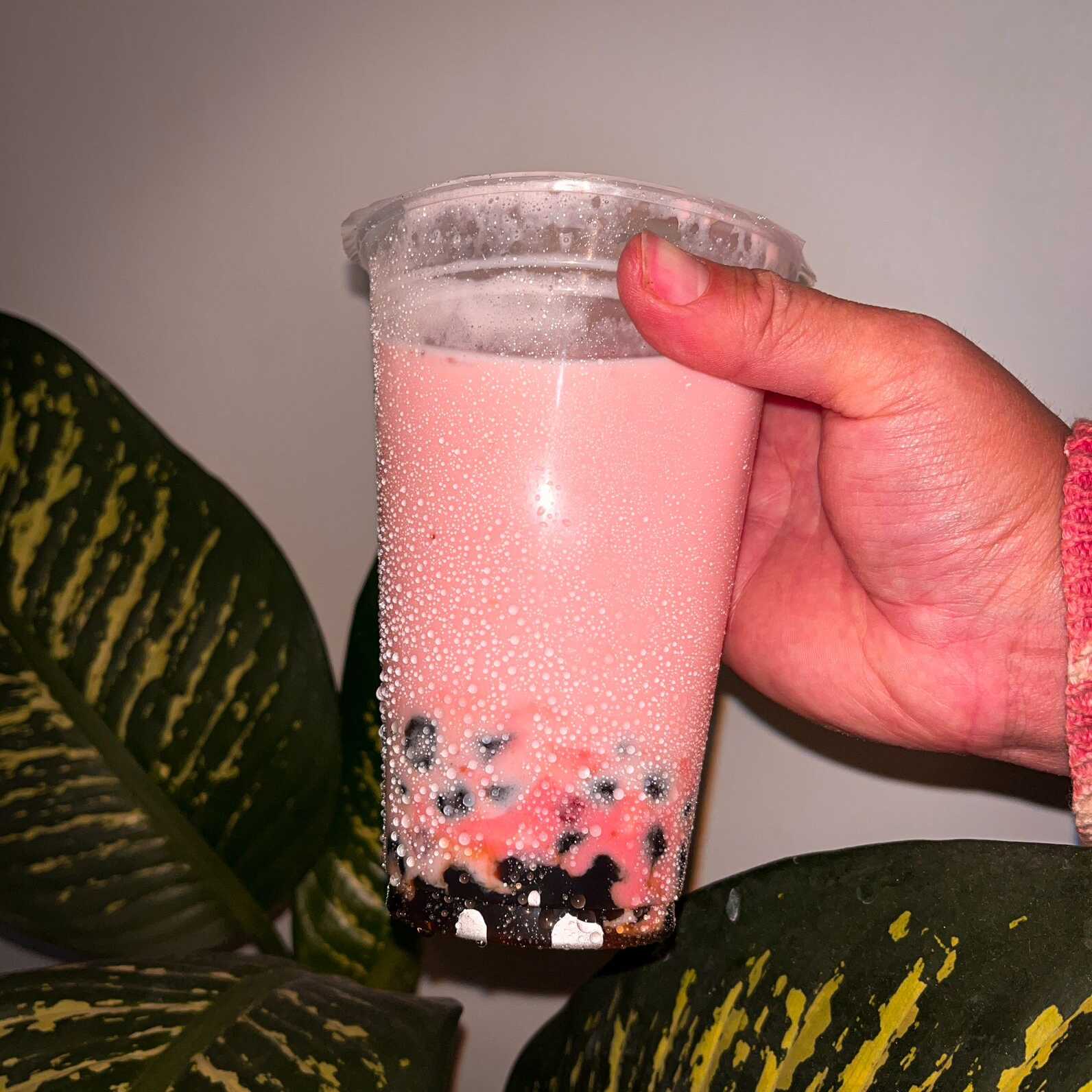 Fresas con Crema