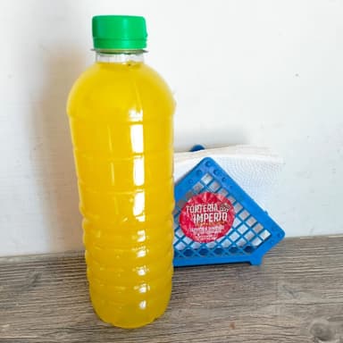 Agua de Piña 500ml