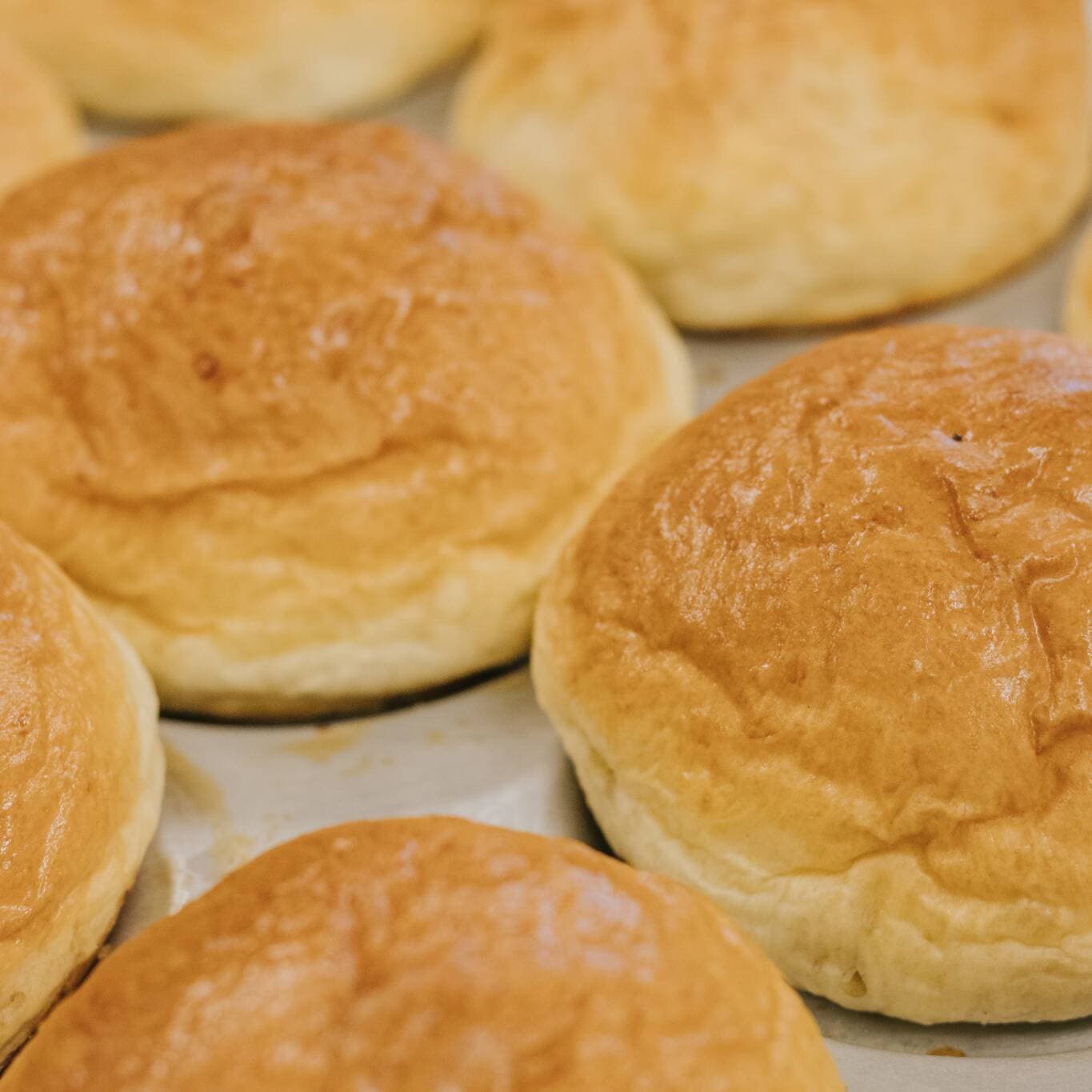 Brioche de Hamburguesa