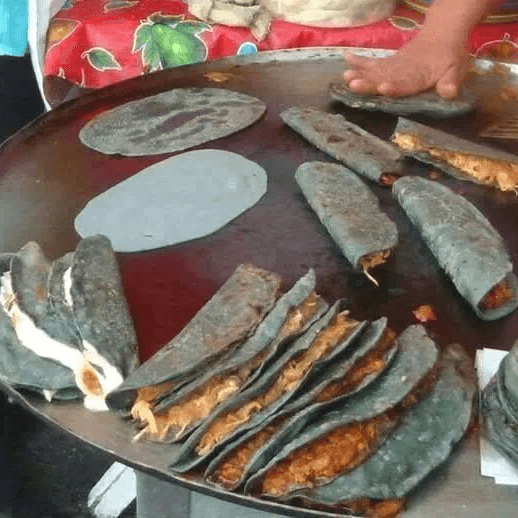 Quesadilla de Pollo, Sencilla