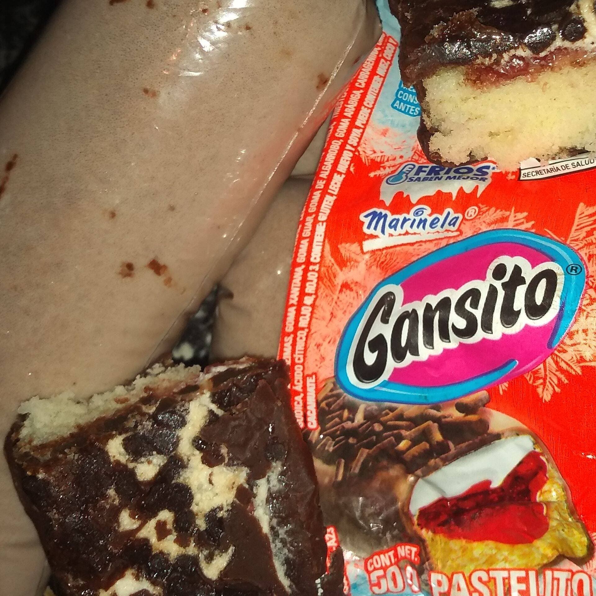 Bolis de Gansito