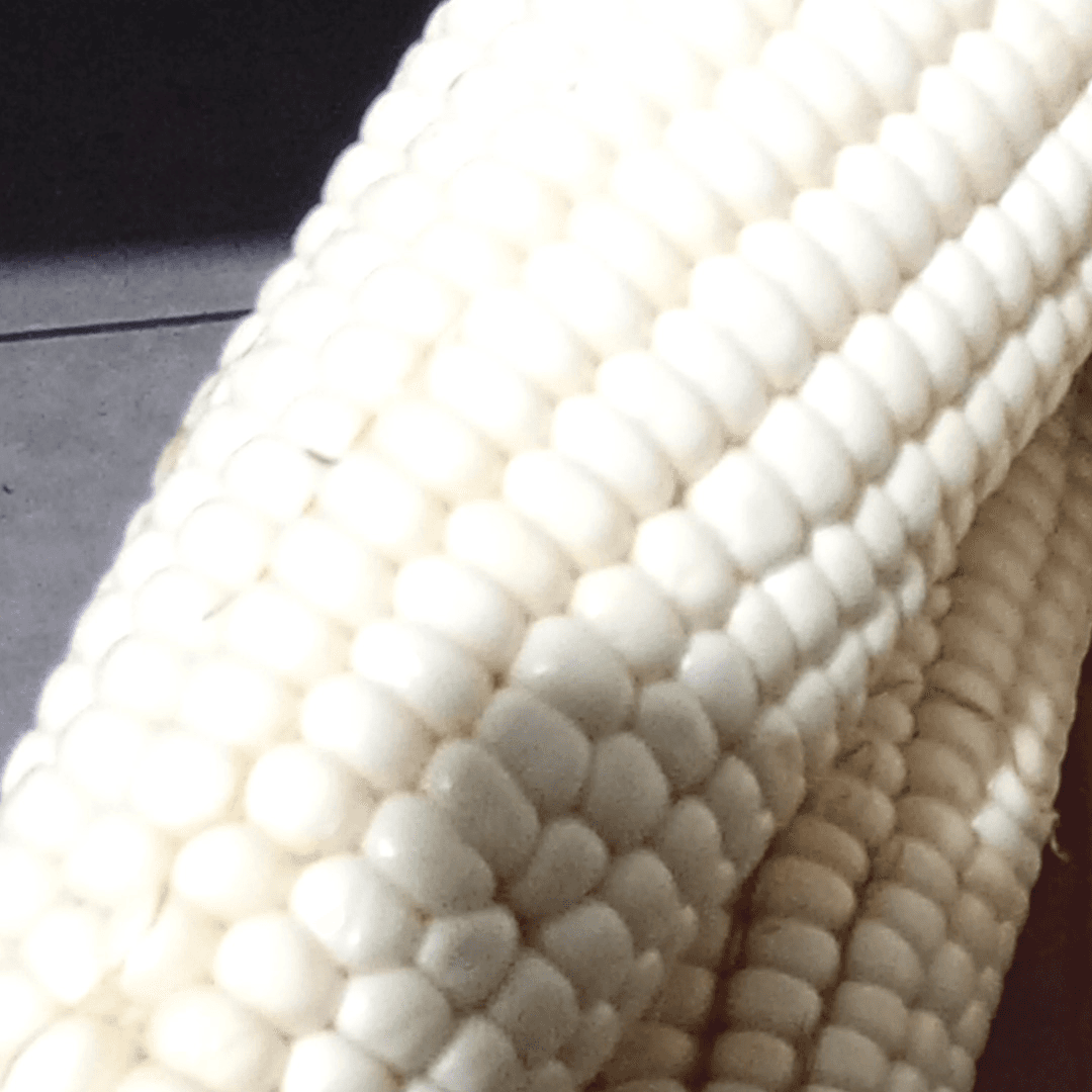 Elote con Sal y Limón