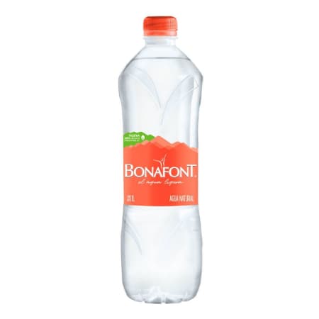 Agua embotellada 1 lt