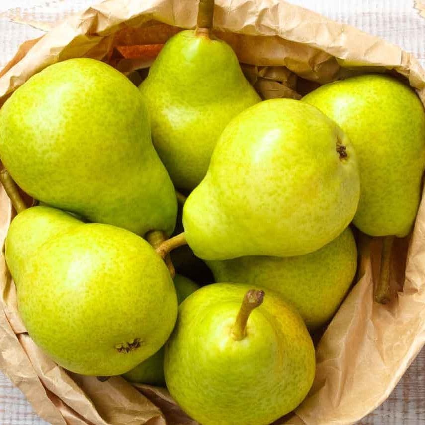 PERA ANJOU 460 G