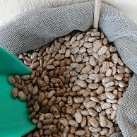 Frijol Pinto o Texano 1kg
