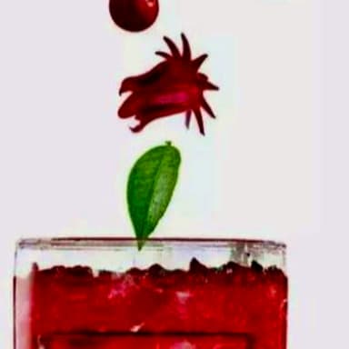 Té Rojo Jamaica Arándanos