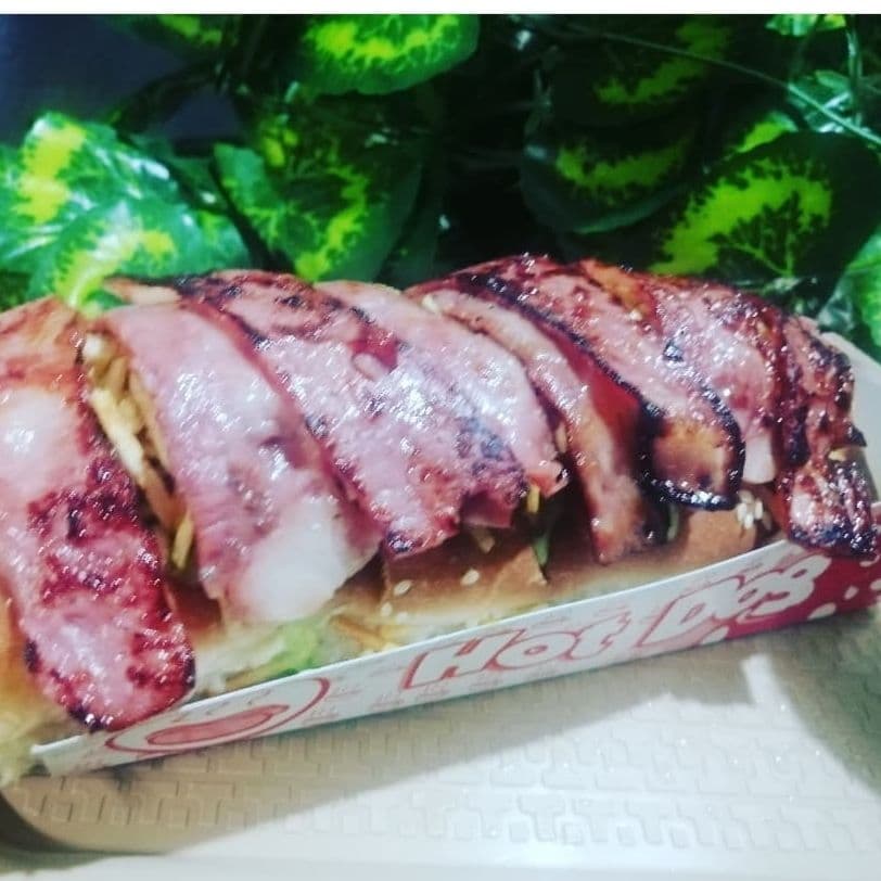 Perro Tocinetón