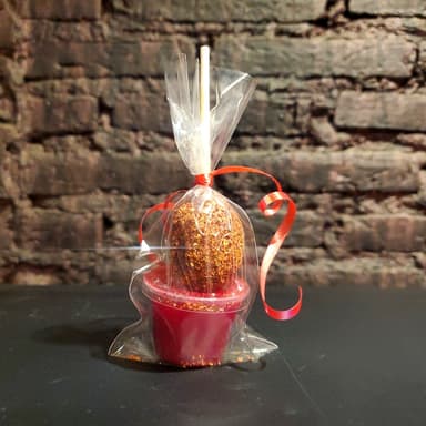 PALETA FORRADA
