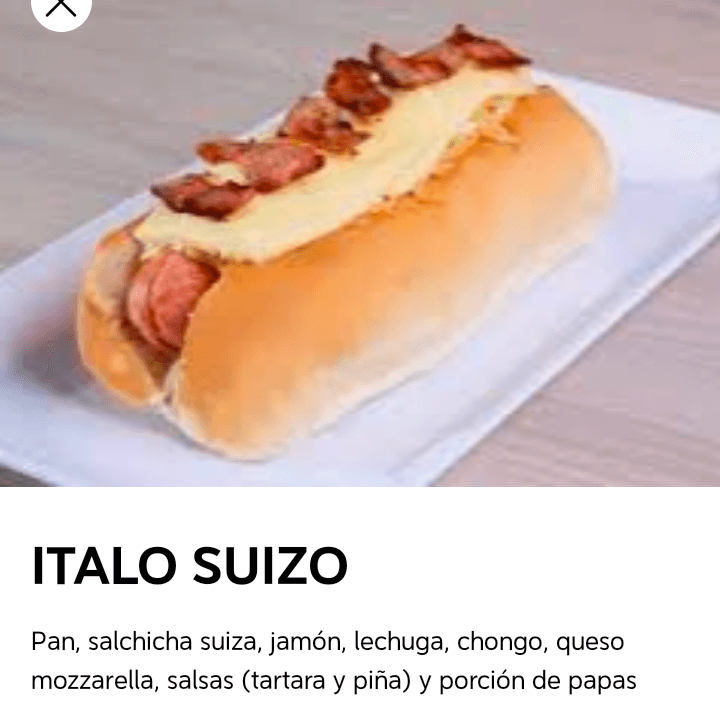 PERRO SUIZO ITALIANO