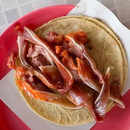 Taco de Buche.