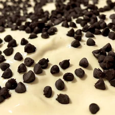 Helado Sabor Chocochip