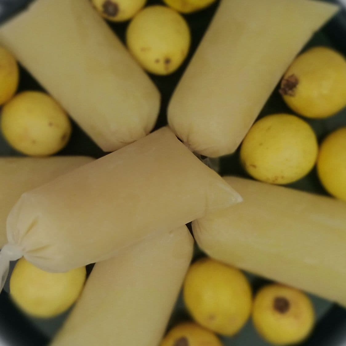 GUAYABA