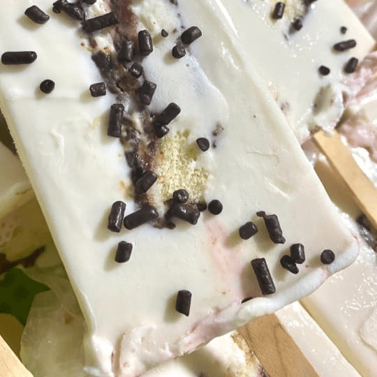 Paleta de Gansito