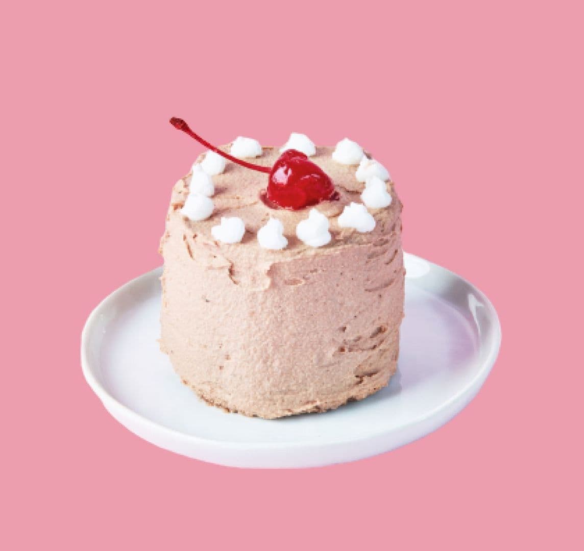 Gabrielito Vegano Cacao