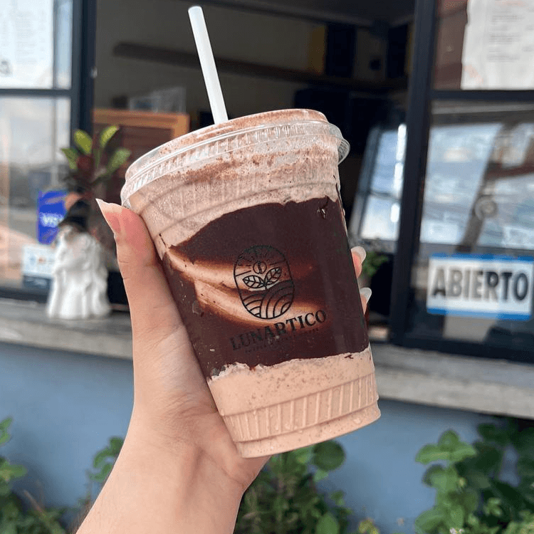 Frappé Mocha Chocolate Chip