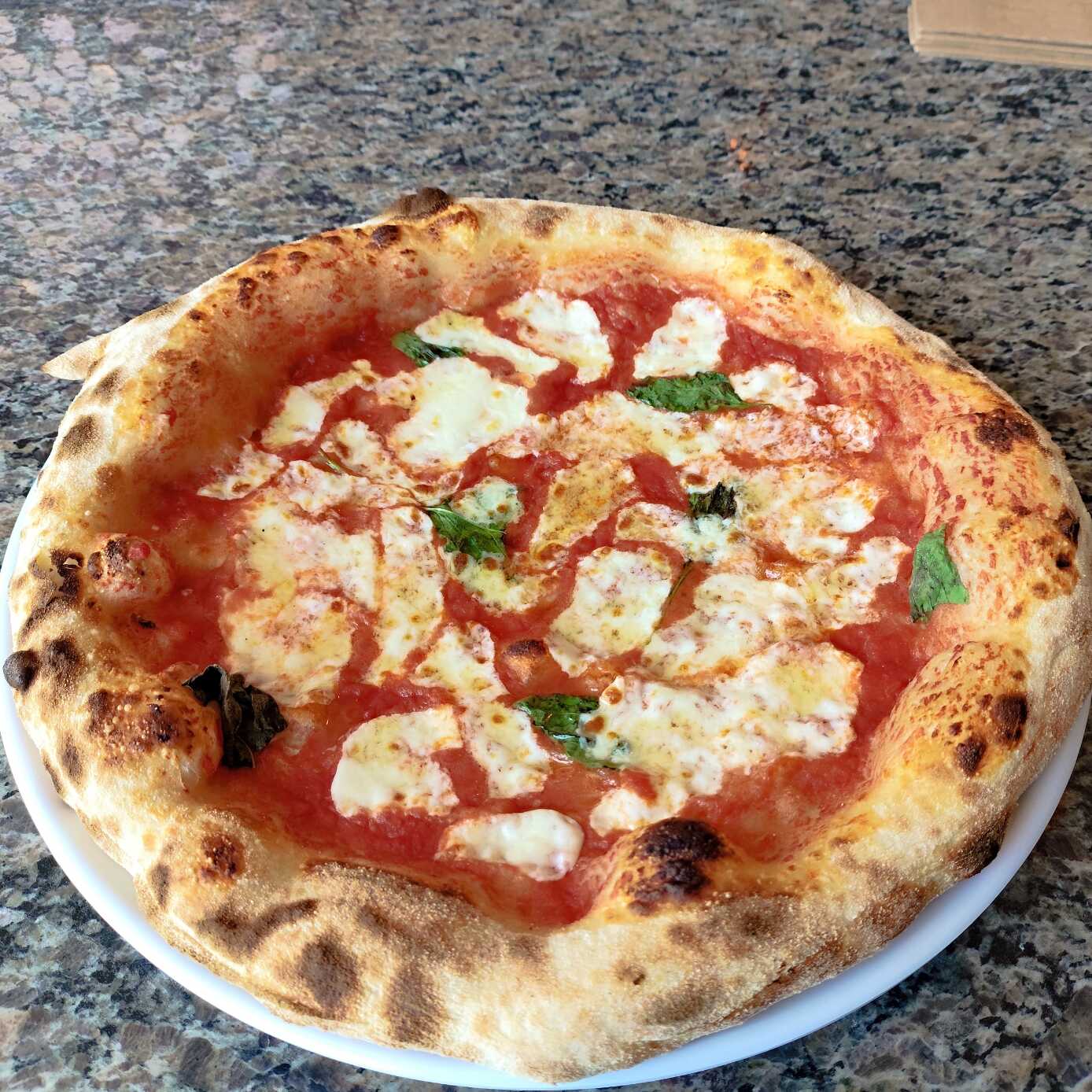 Margherita