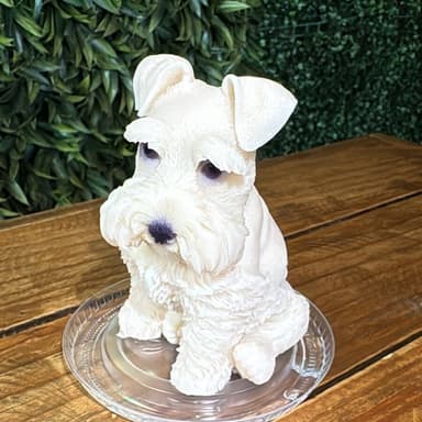 Gelatina de Perrito