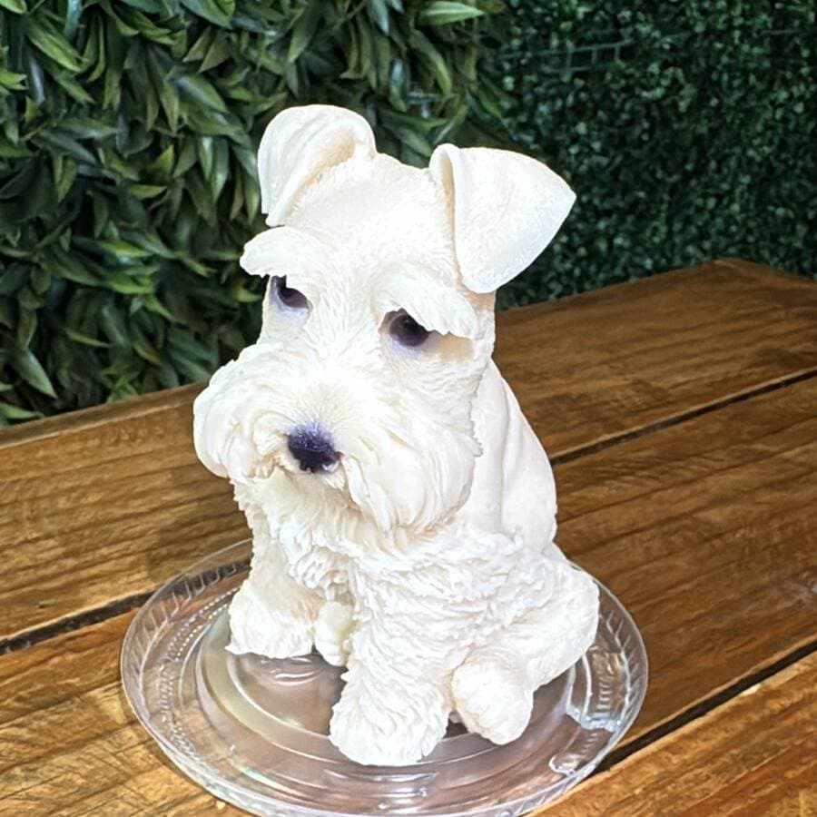 Gelatina de Perrito