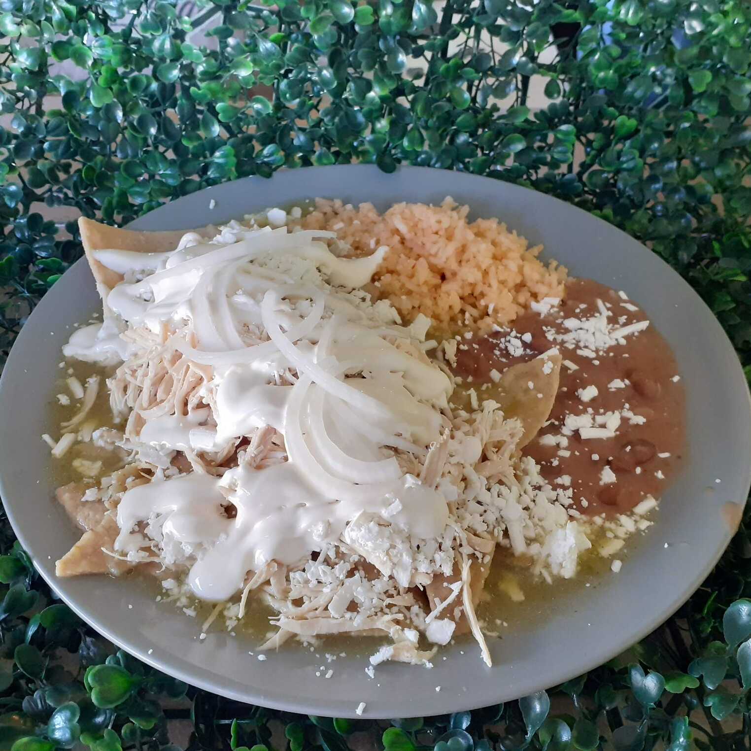 CHILAQUILES Con Pollo Deshebrado