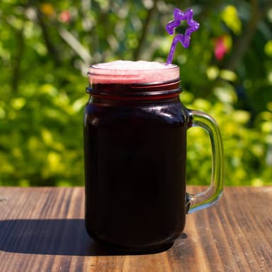 Agua de Jamaica 500ml