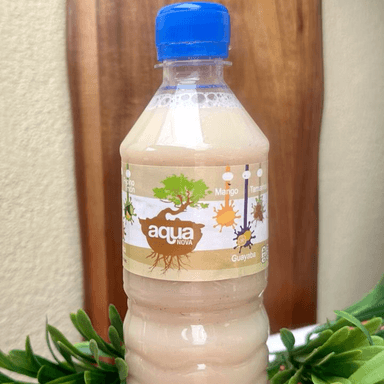 AGUA DE HORCHATA