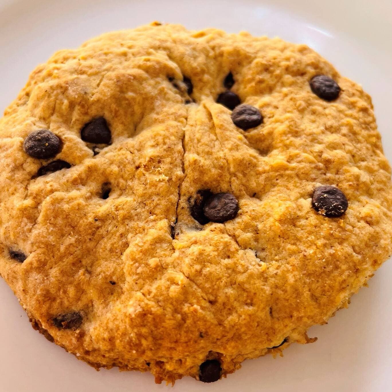 Galleta de Chocolate Light