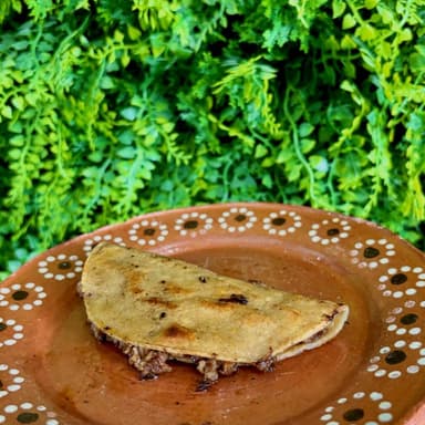 Taco Dorado de Birria