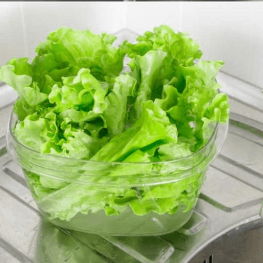 Lechuga Extra