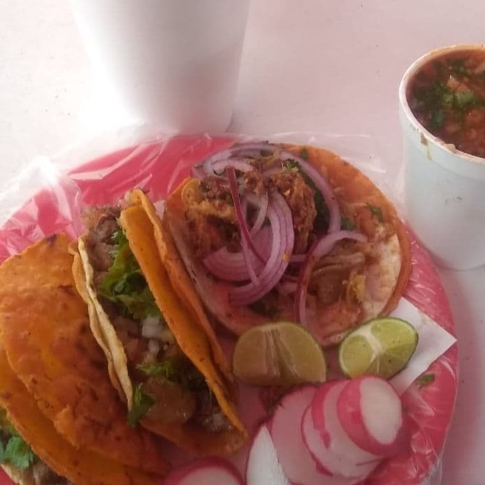 Taco Carnitas