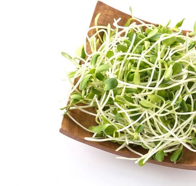 Extra Germinado de Alfalfa