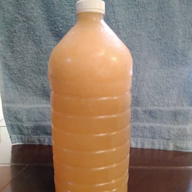 Agua Fresca Sabor Melon de 1 Litro