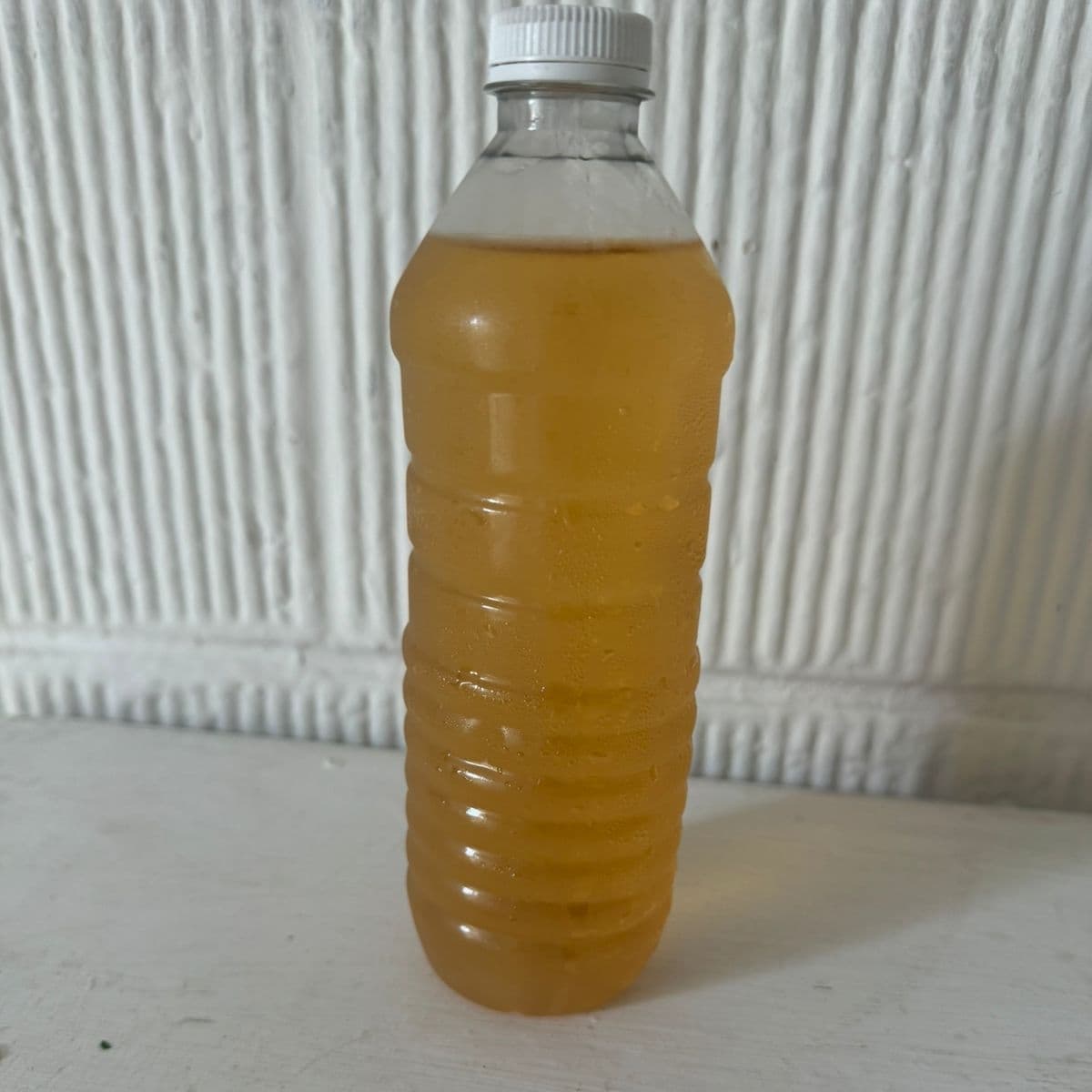 Tea de la casa