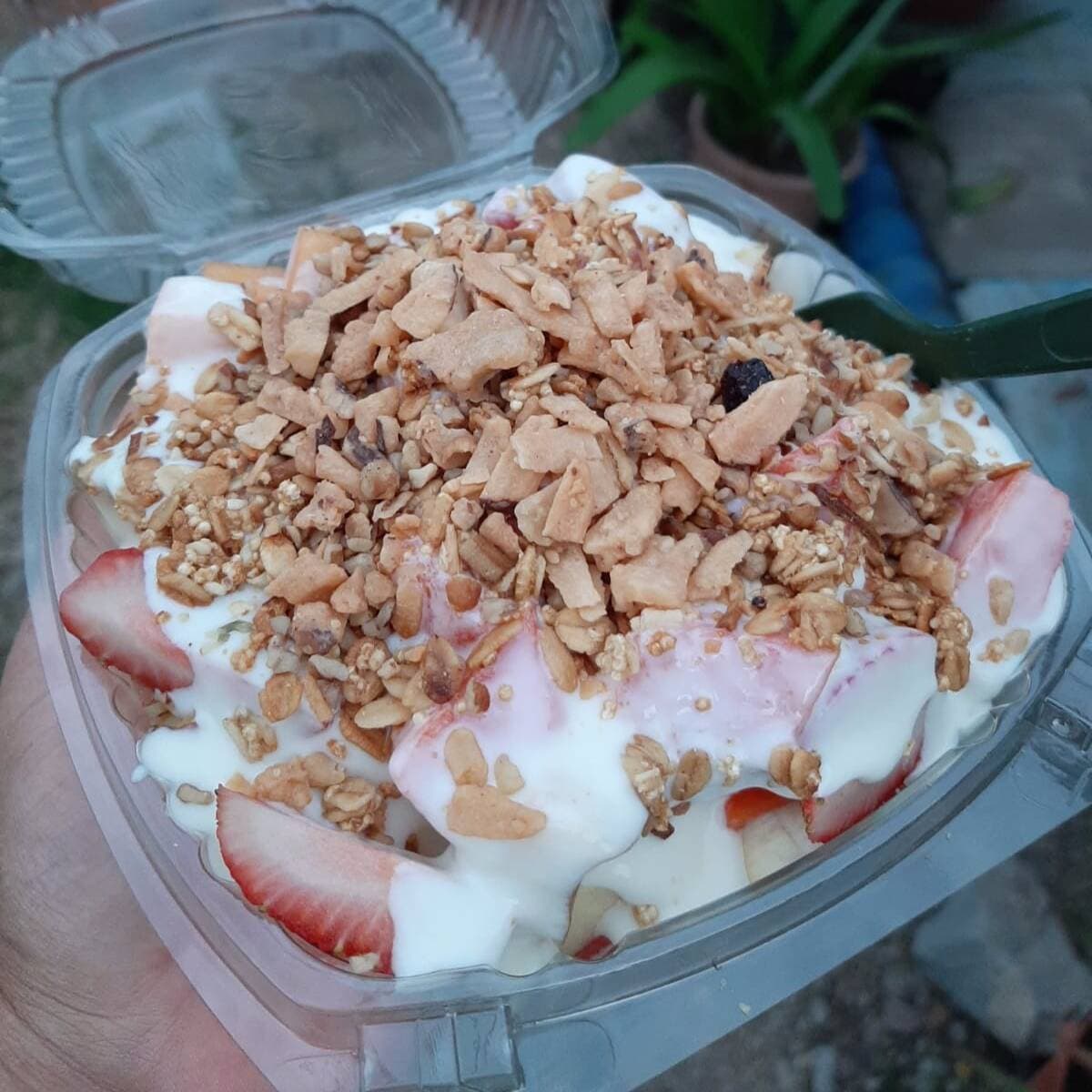 Biónico