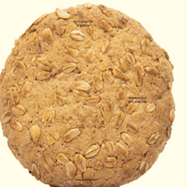 GALLETA INTEGRAL