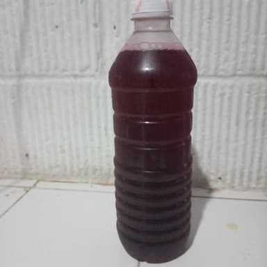 Agua de Jamaica 500 ml
