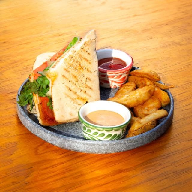 PANINI INGLES