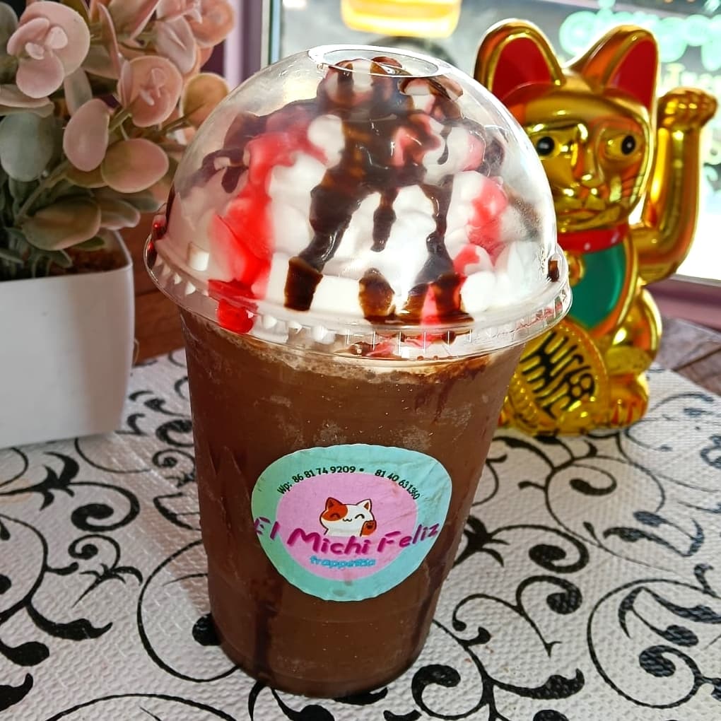 Frappé Gansito 16 OZ