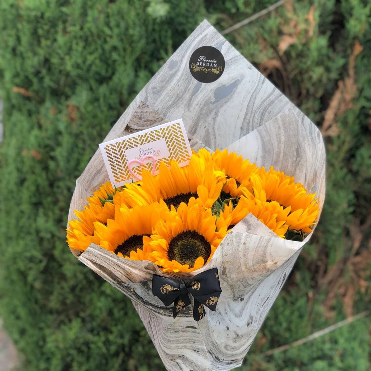 10 Girasoles