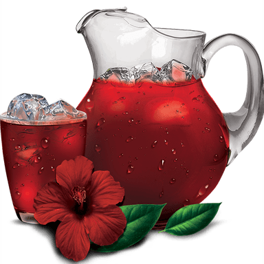 Agua de Jamaica 500ml