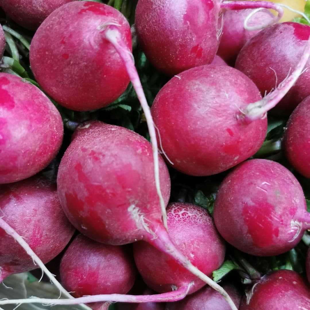 ROLLITO DE RABANOS