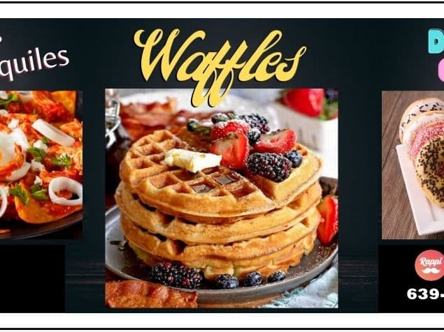 Chonchos Hamburguesas Papas Alitas y Desayunos