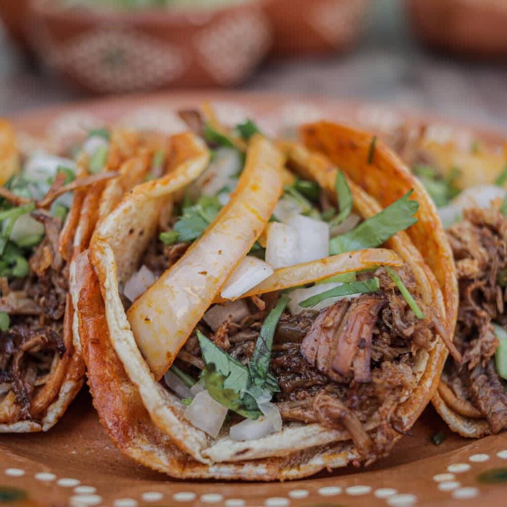 Taco de Birria